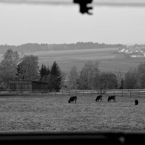 Allmorgentlicher Ausblick