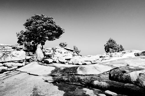 Yosemite-Tioga-Pass