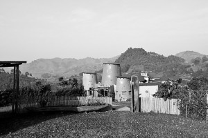 matunda