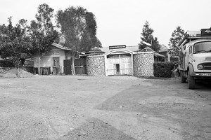 ntungamo