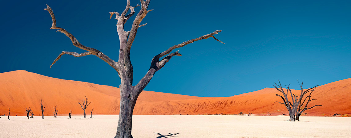 Namib-Dead-Vlei