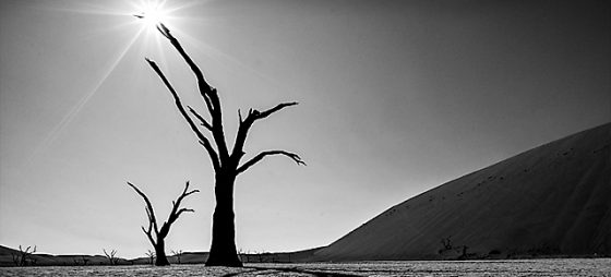 Geschützt: Namibia. Sonne, Sand und tote Bäume.