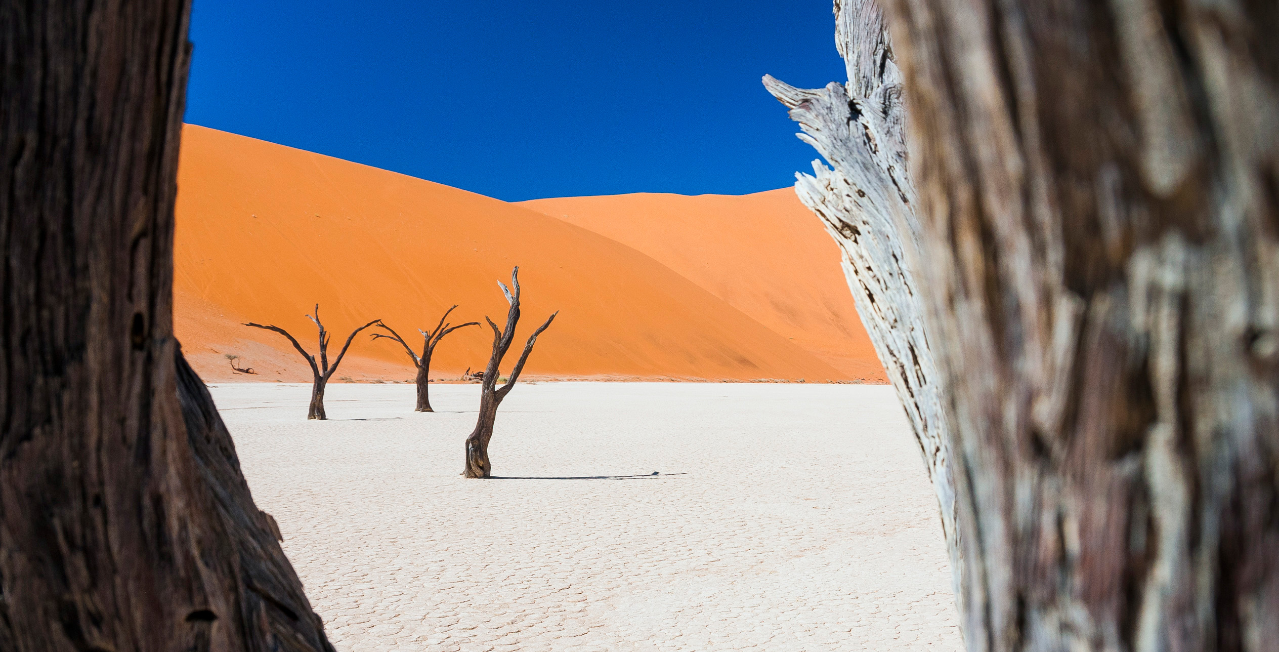 Namibia Sossusvlei