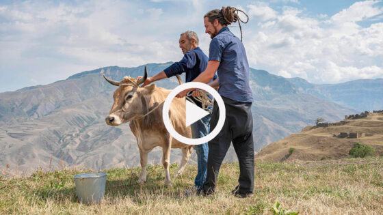 Kurzfilm – Dagestan. Land der Berge.