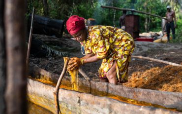 Sierra Leone. Mitten im Dschungel