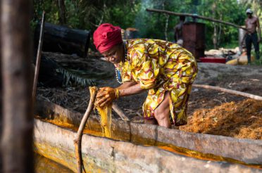 Sierra Leone. Mitten im Dschungel